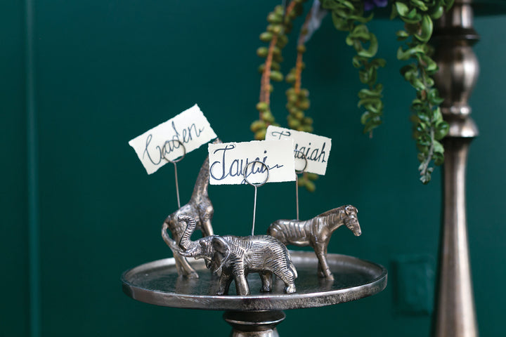 Animal Cardholder - Zebra