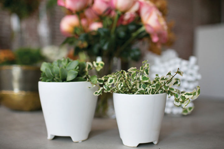 Ruth Pot