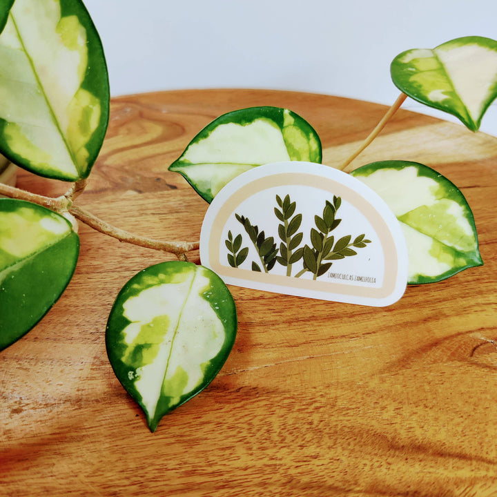 Clear ZZ Plant Sticker