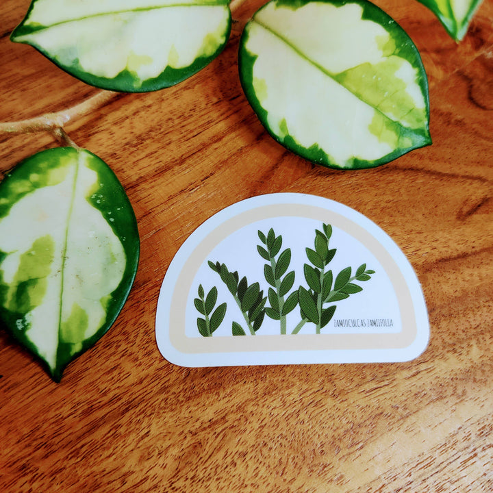 Clear ZZ Plant Sticker