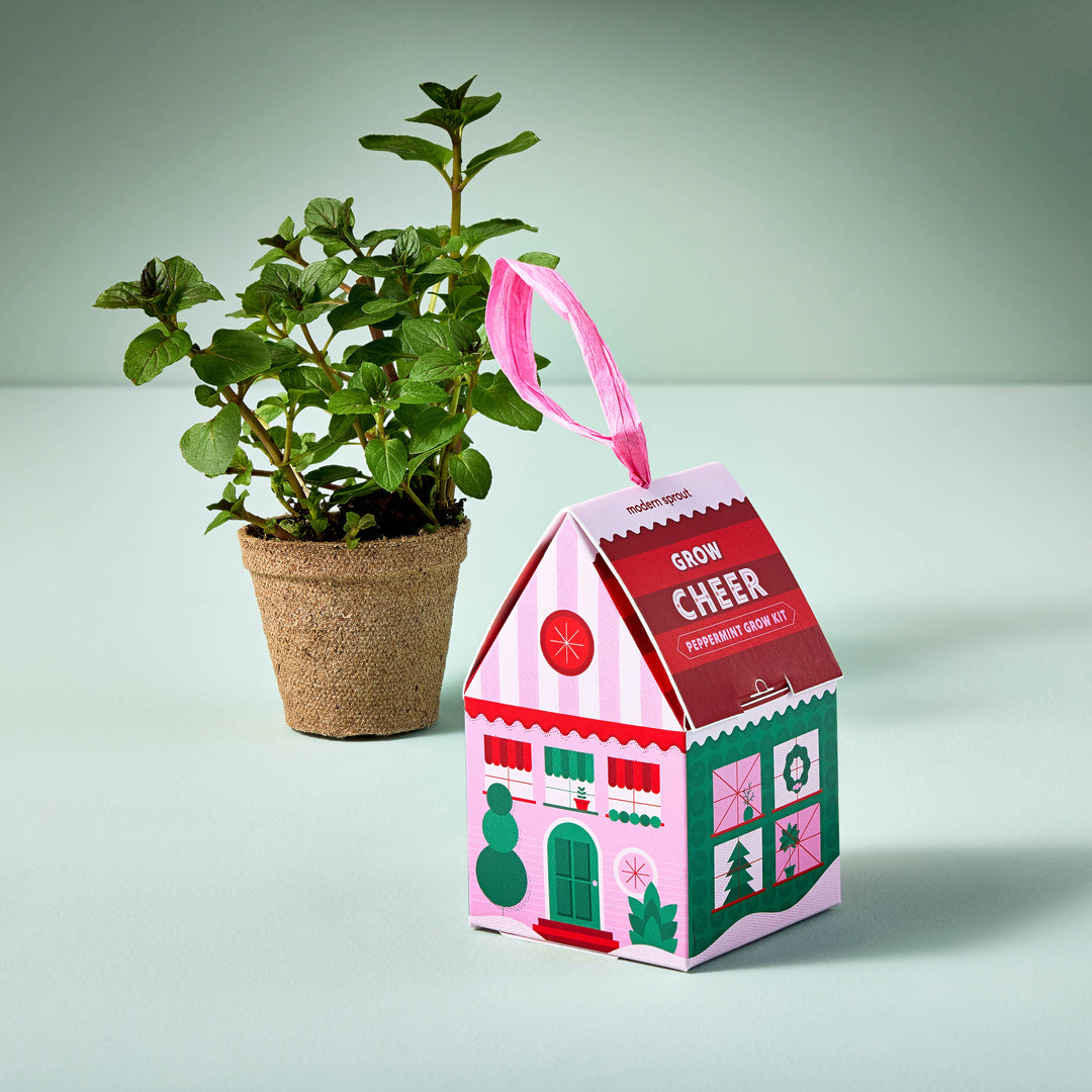 Spring Herb Grow Kits