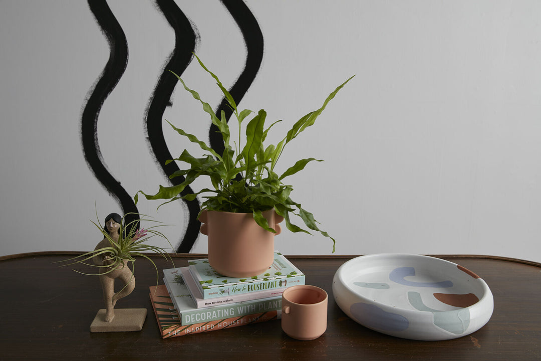 Masha Saucer