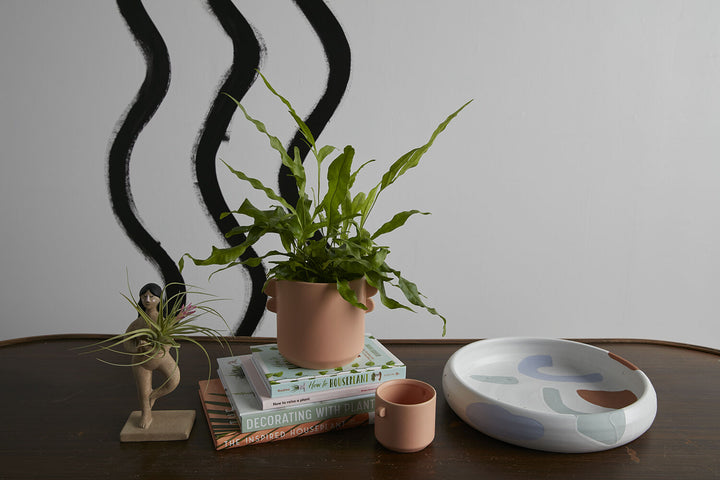 Masha Saucer