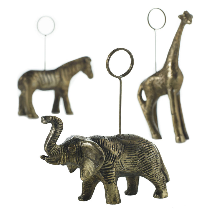 Animal Cardholder - Zebra