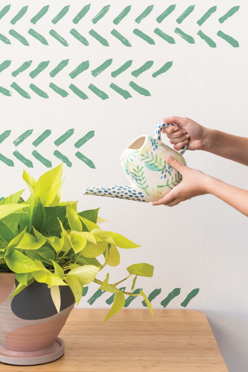 Ferni Watering Can