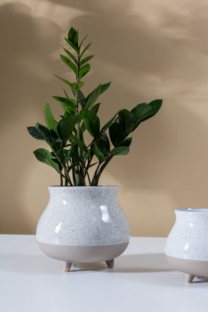 Blair Pot