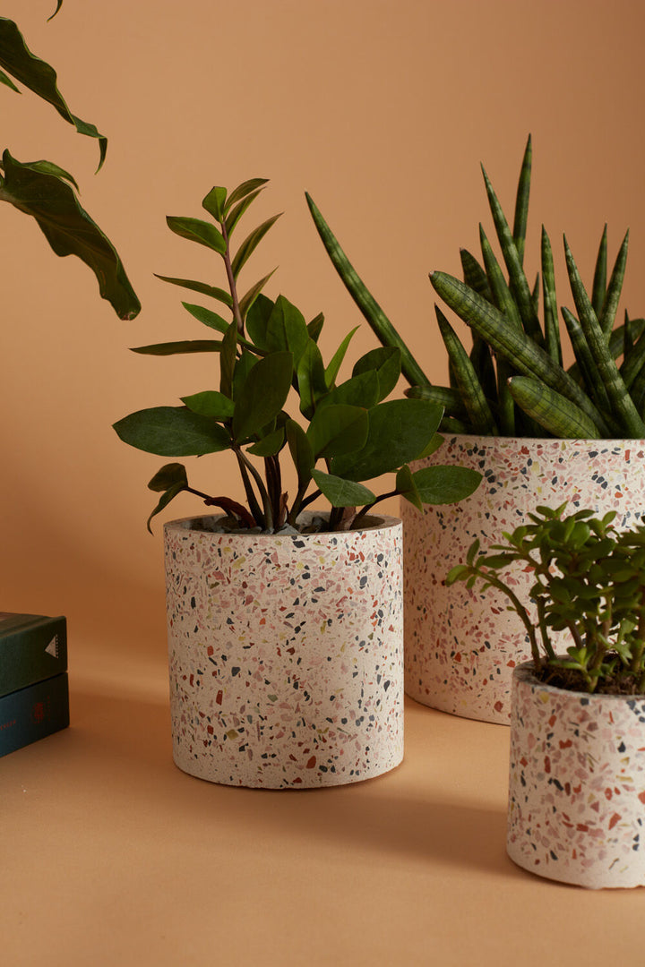 Terrazzo