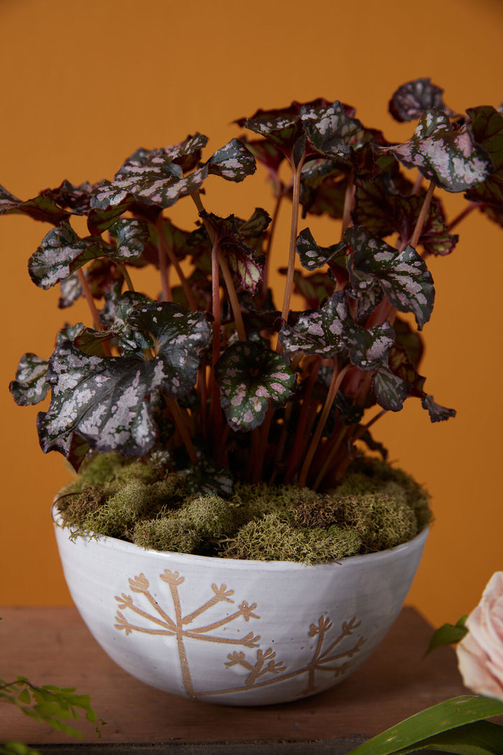 Umbel Footed Bowl