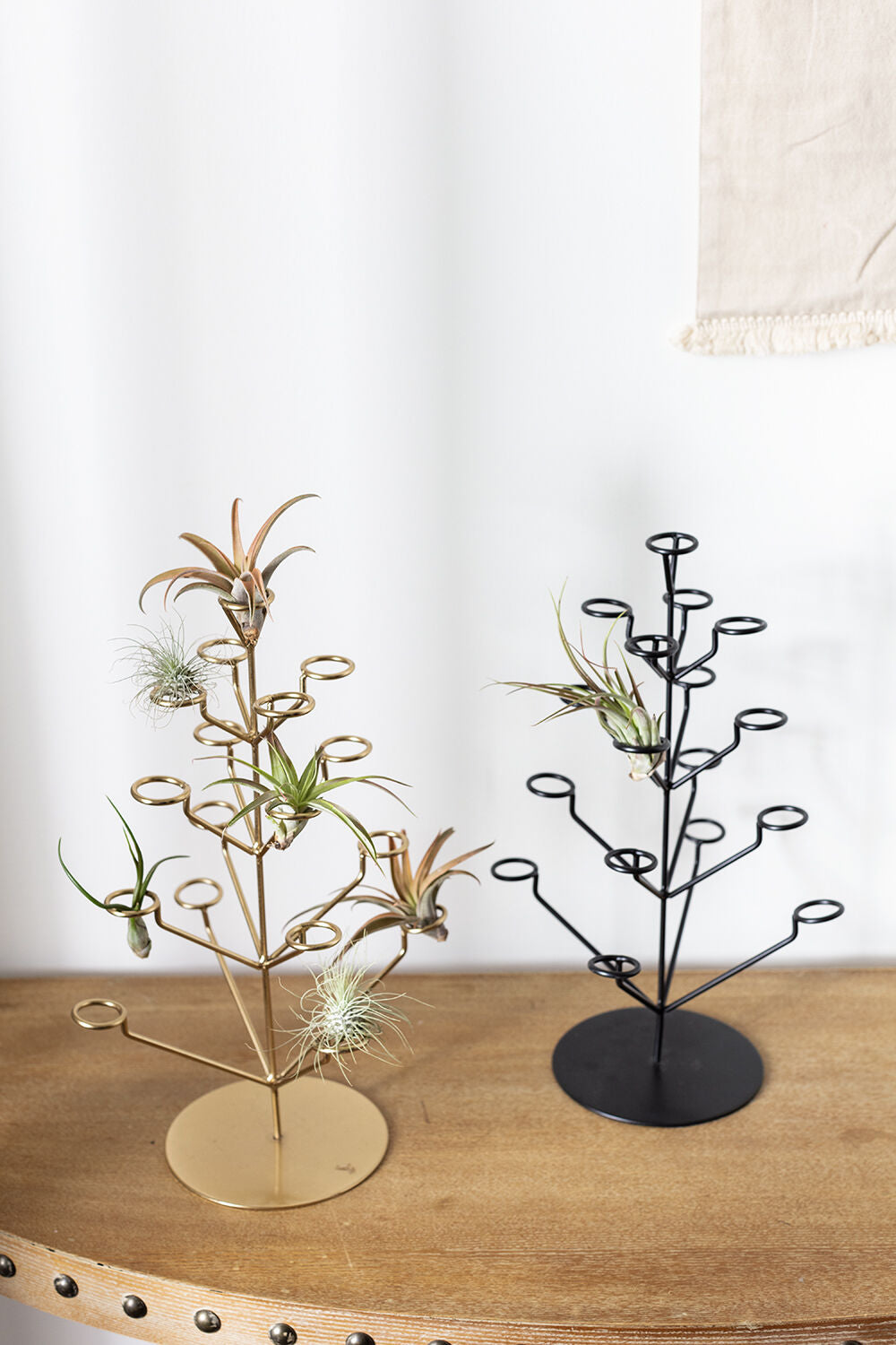 Twinkling Tillandsia Tree