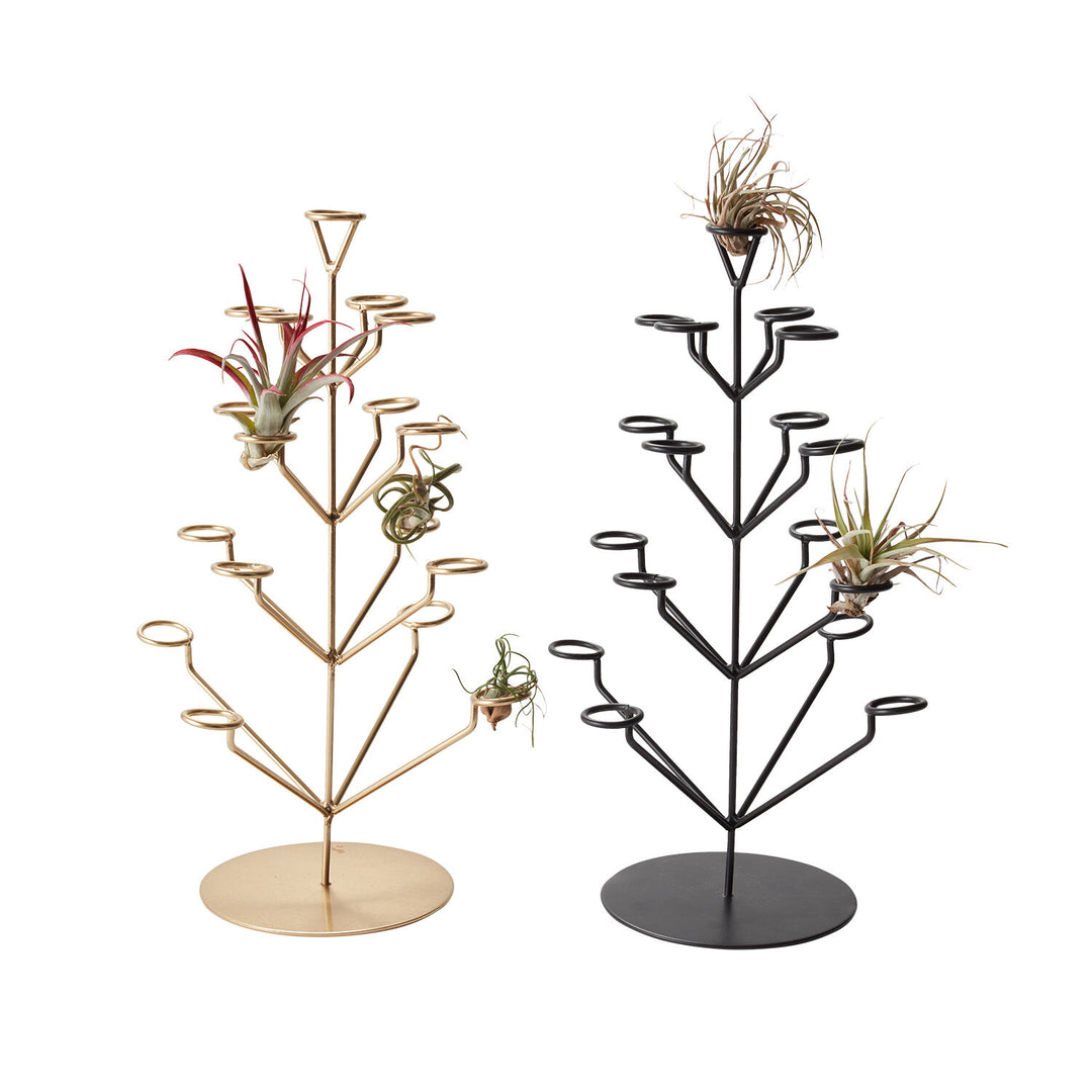 Twinkling Tillandsia Tree