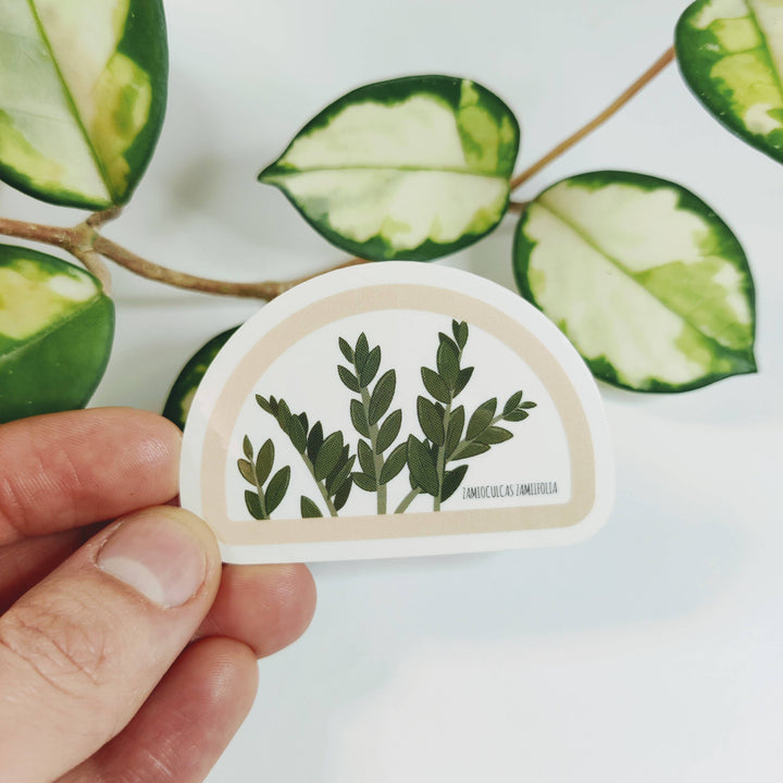 Clear ZZ Plant Sticker
