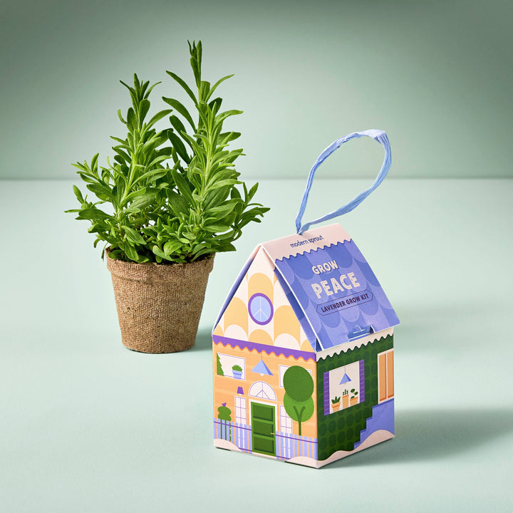 Spring Herb Grow Kits