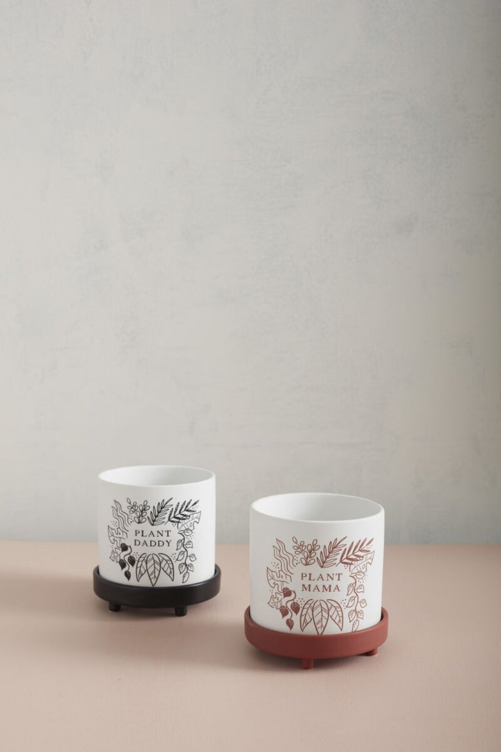 Plant Daddy Pot with Saucer