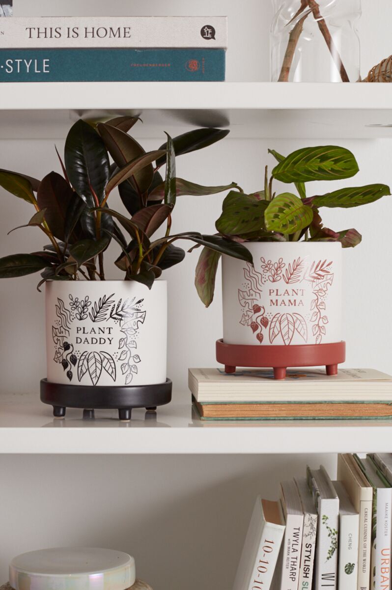 Plant Daddy Pot with Saucer