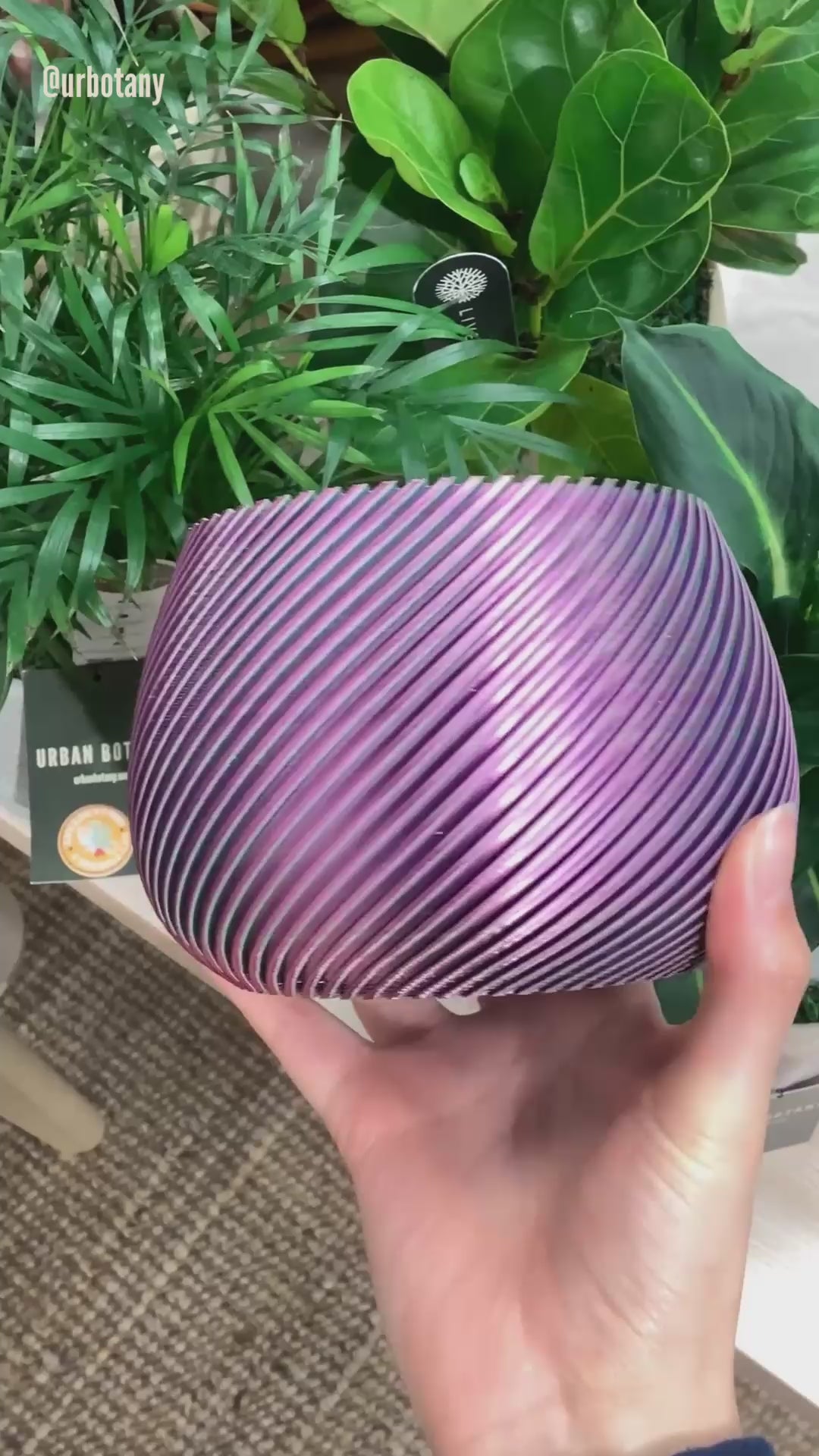 Color Changing Spiral Modern Pot – Urban Botany