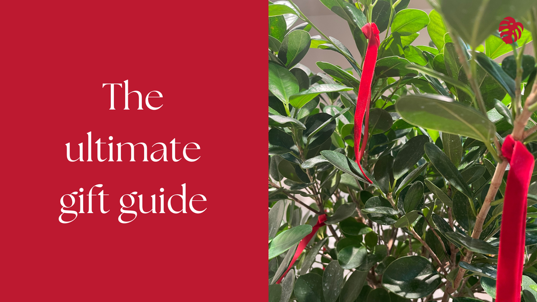 The Ultimate Urban Botany Gift Guide