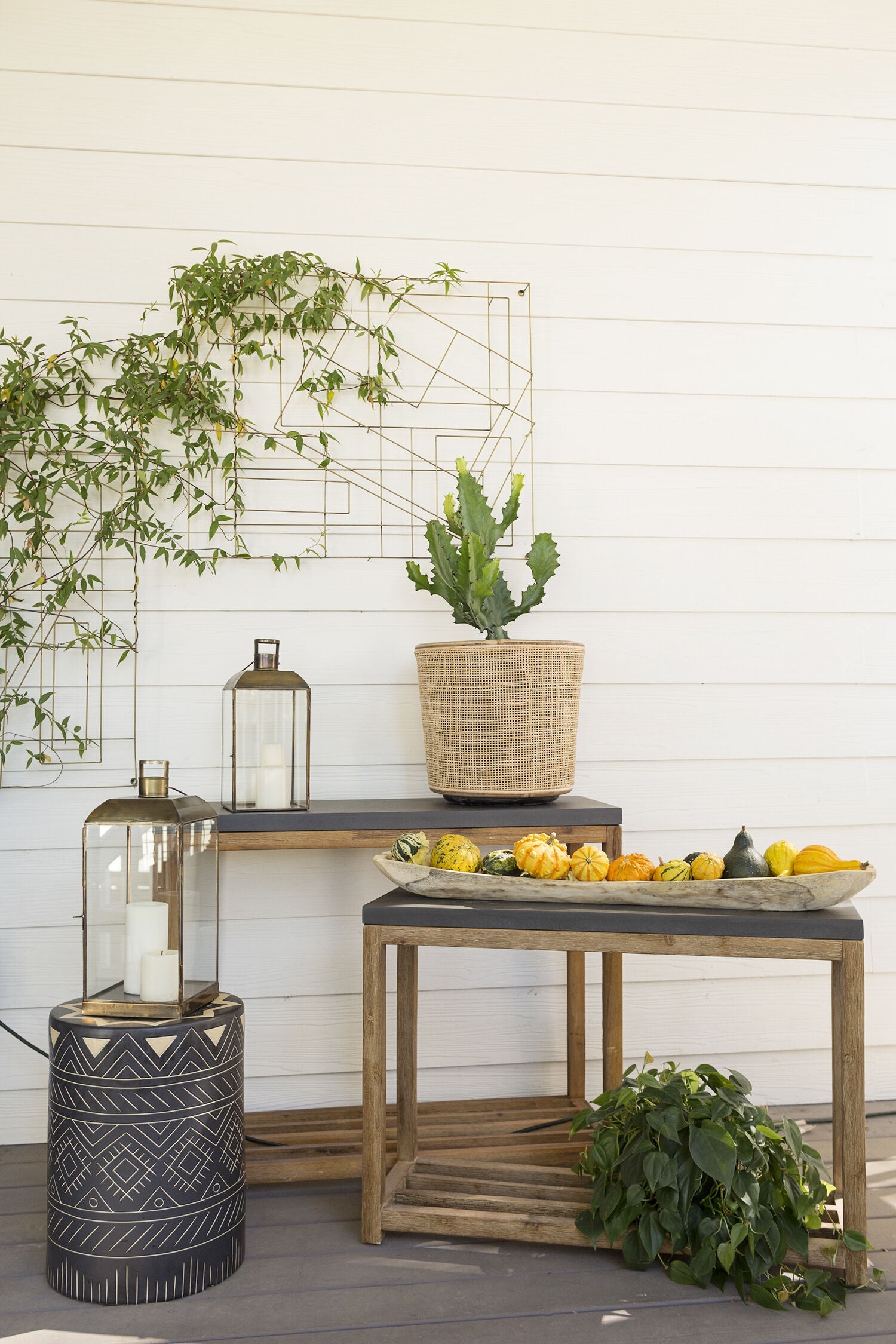Home & Decor – Urban Botany