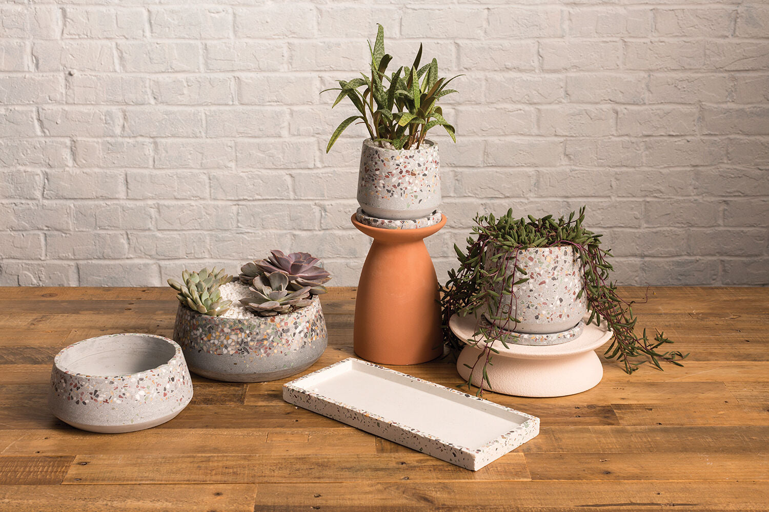 Pots & Planters