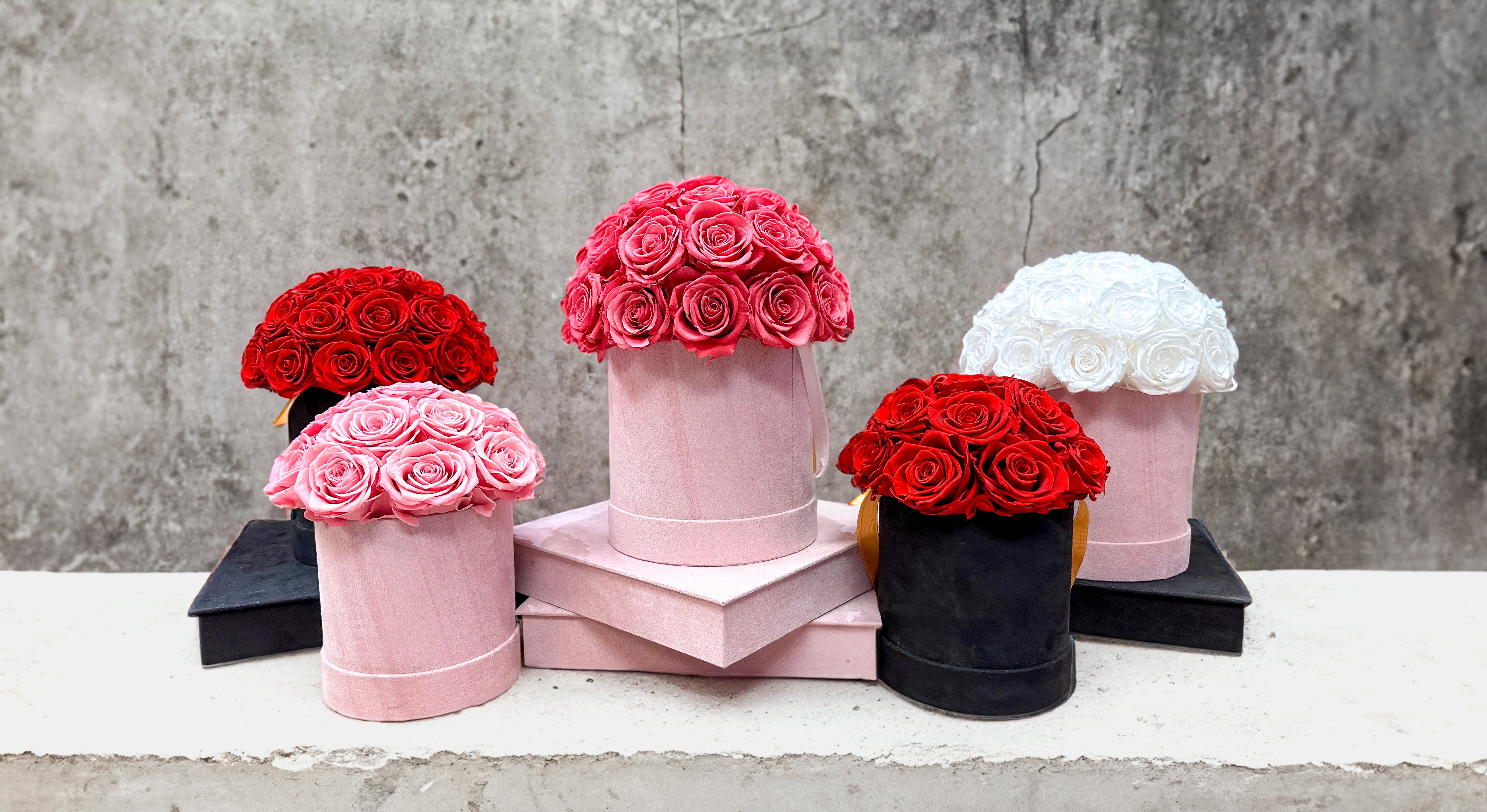 Forever Roses – Urban Botany