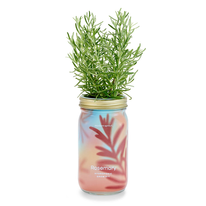 NEW Herb Garden Jar: Parsley