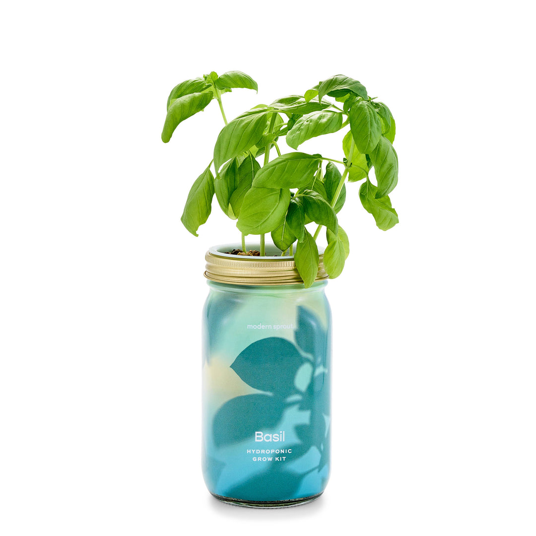 NEW Herb Garden Jar: Rosemary