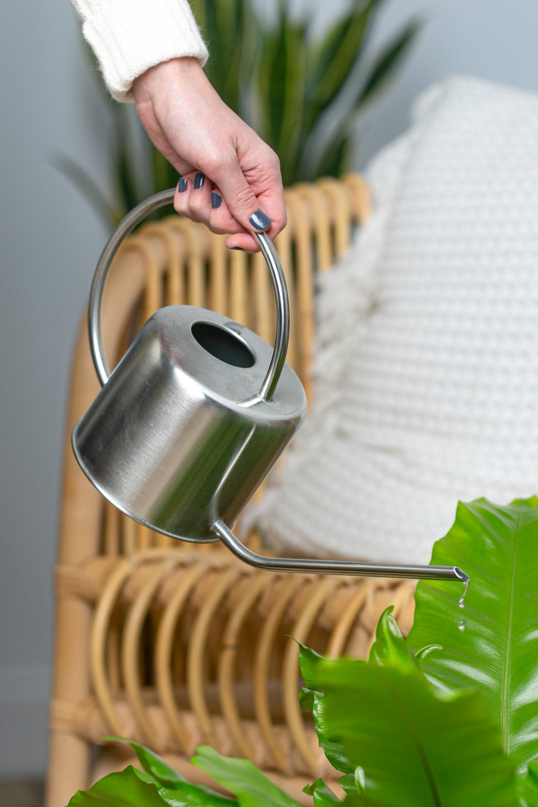 The Mies Watering Can