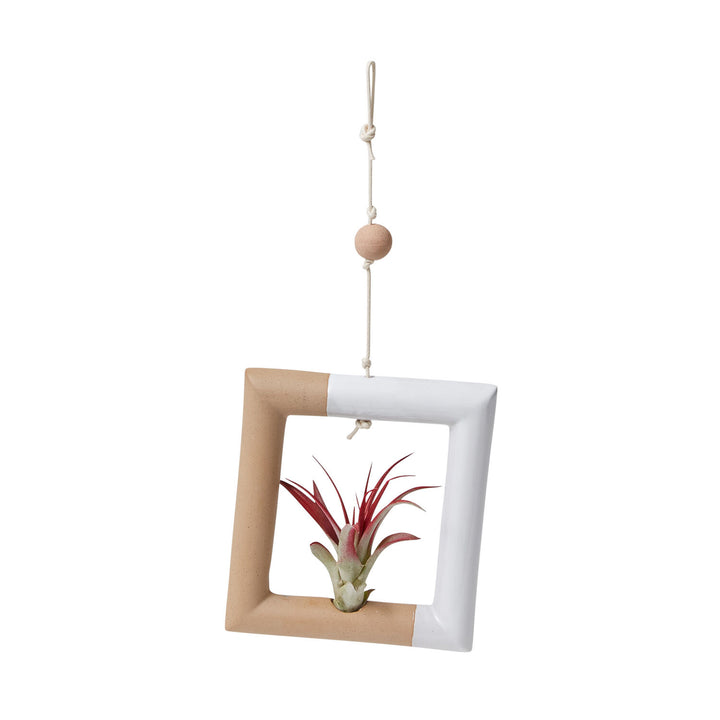 Nevena Tillandsia Holder