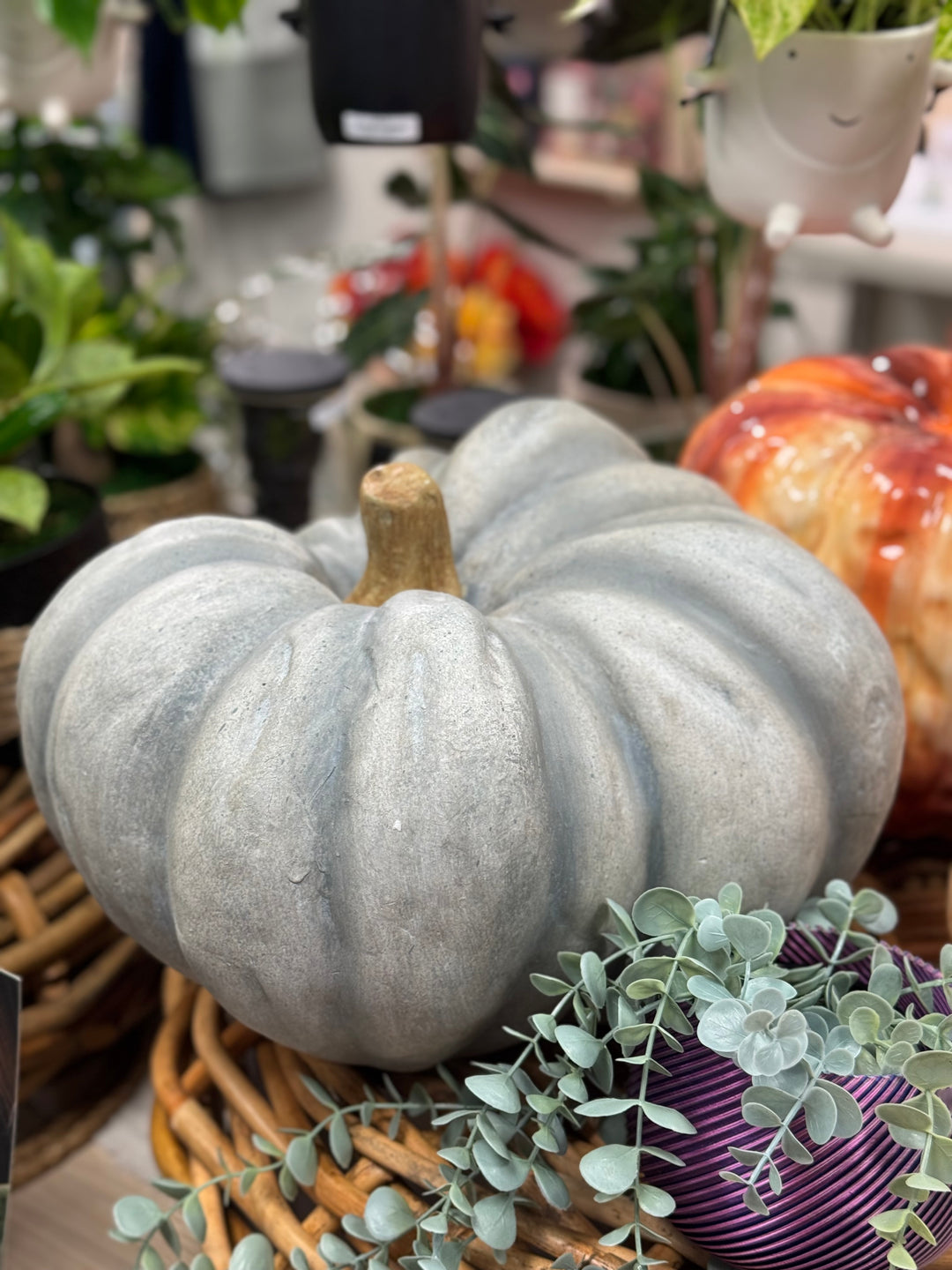 Autumn Blue Pumpkin