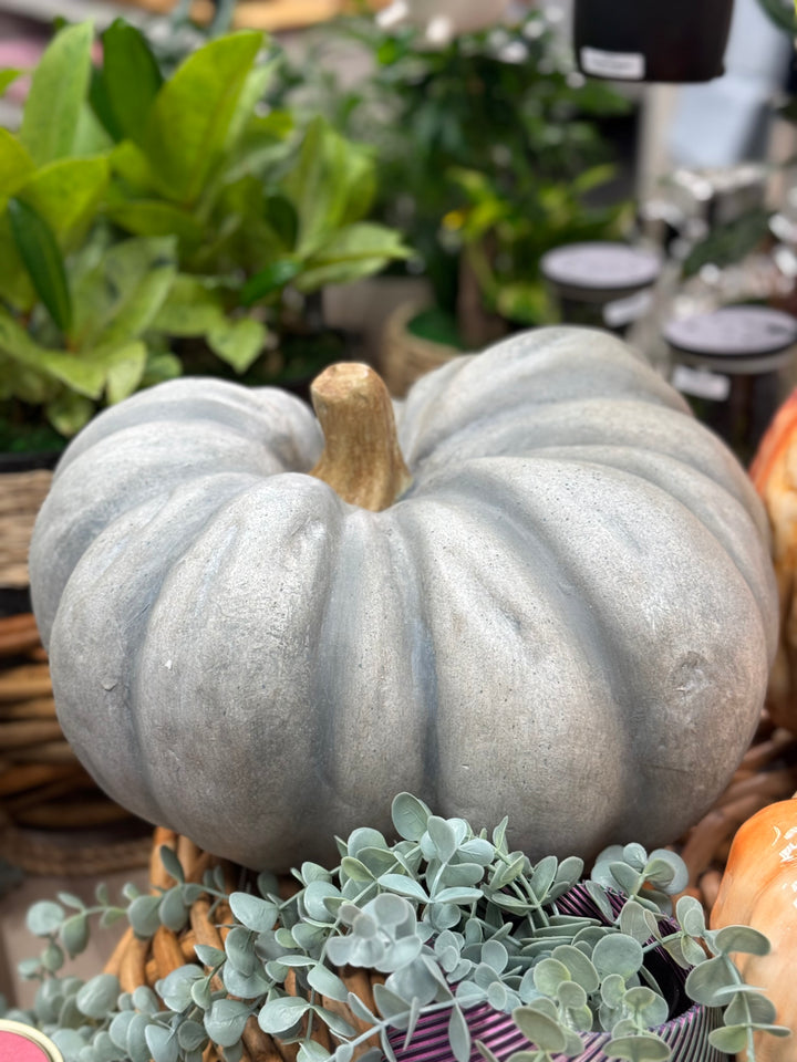 Autumn Blue Pumpkin