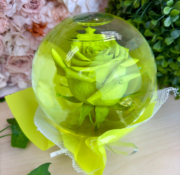 Flower Glass Globe