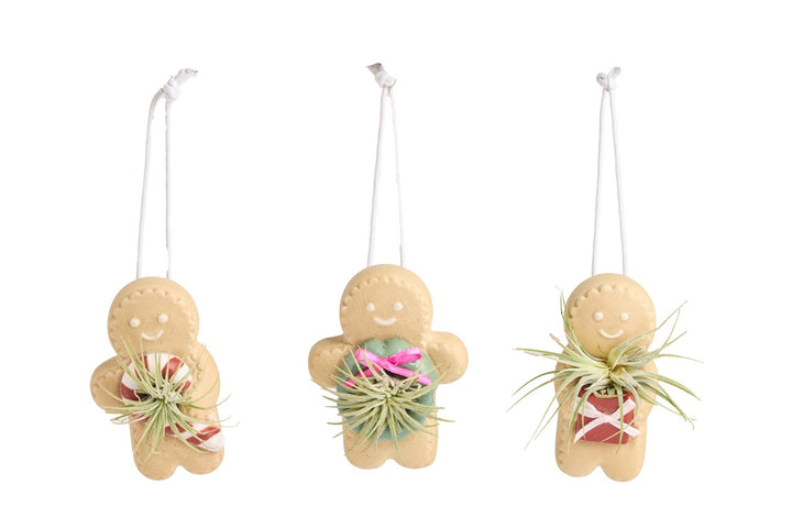 Ginger Snap Air Plant Ornament