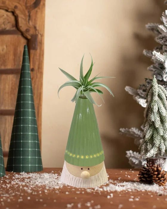 Gnome for the Holidays