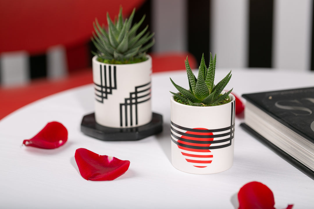 beating heart succulent Beating Heart Mini-Succulent