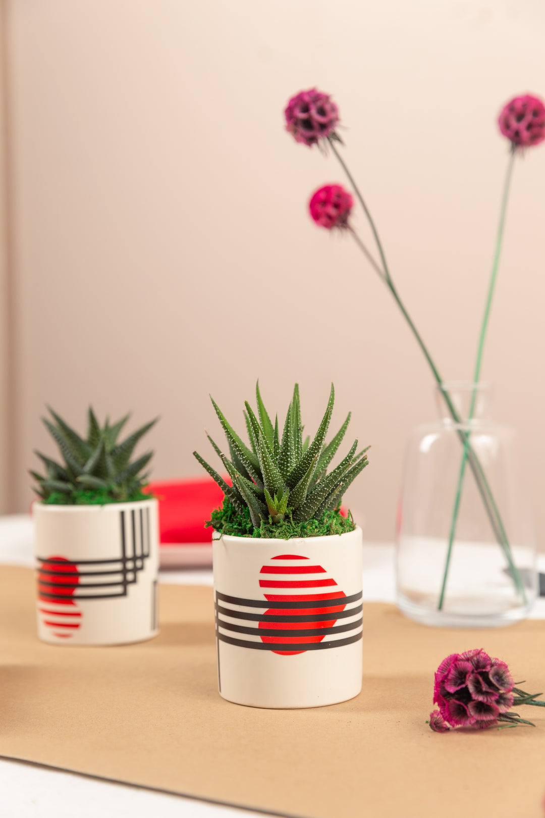 beating heart succulent Beating Heart Mini-Succulent – Urban Botany
