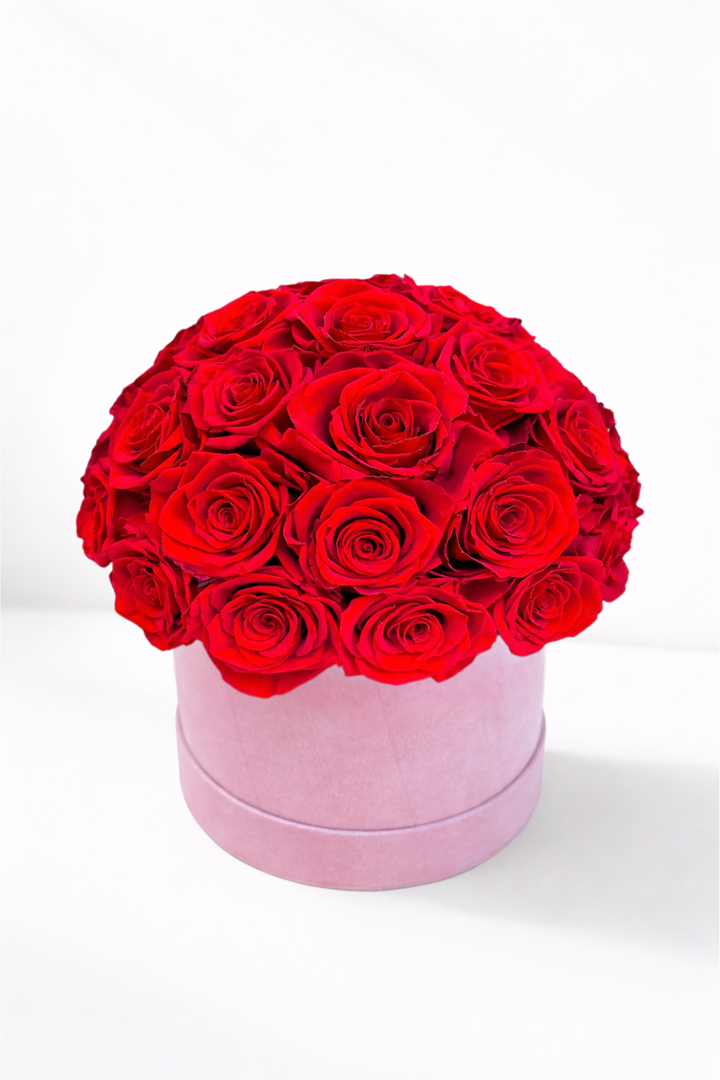 Forever Roses