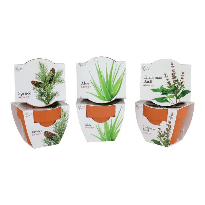 Assorted Holiday Mini Grow Pot