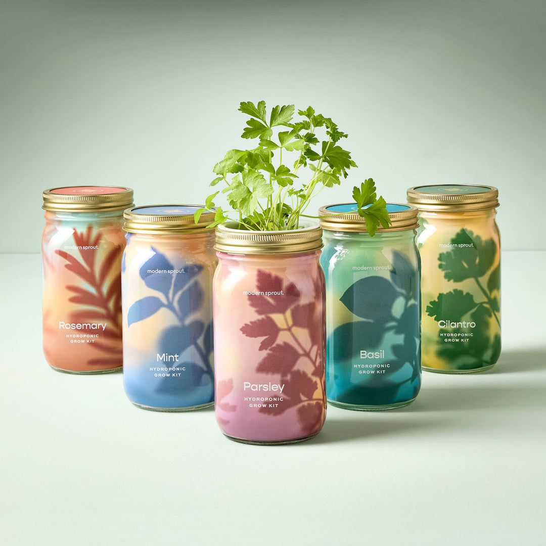 NEW Herb Garden Jar: Mint