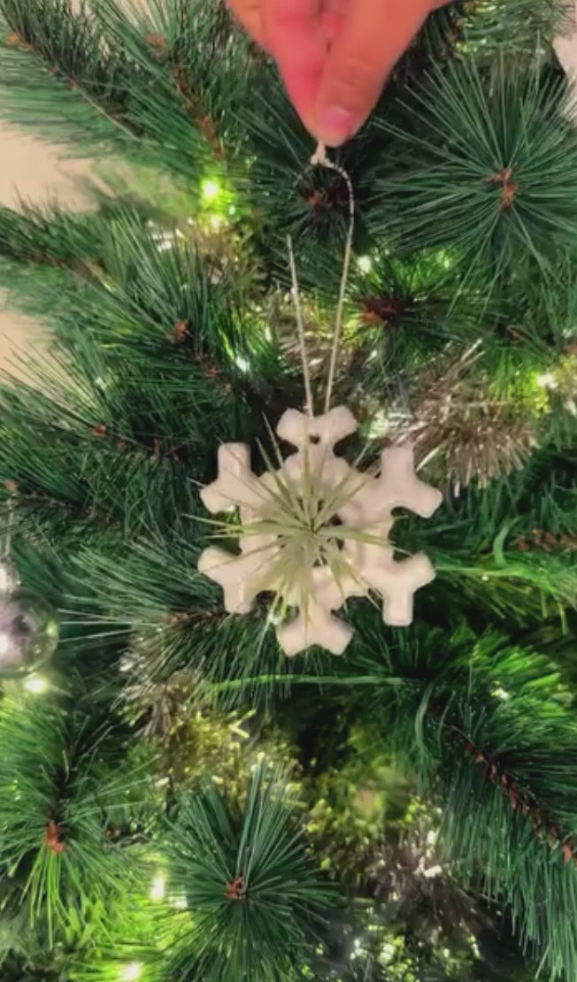 Bentley's Crystal Snowflake Ornament